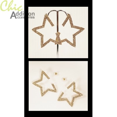 Earrings ER19-0443G